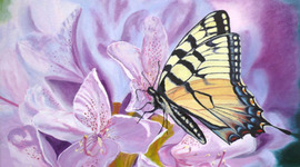 Timeline: LA INVENCIÓN DEL TERCER MUNDO