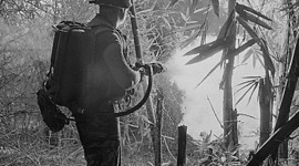 Timeline: Chapter 30: The Vietnam War