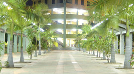 Timeline: universidad popular del cesar