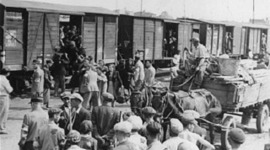 Timeline: The Final Solution