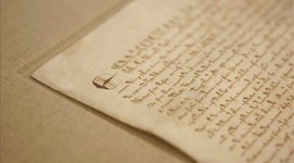 Timeline: Los Derechos Humanos