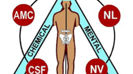 Timeline: Kinesiology