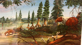Timeline: The Cenozoic Era