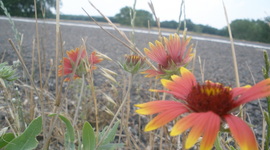 Timeline: The Six Days of Creation