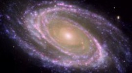 Timeline: Ainslee Mackenzie timeline