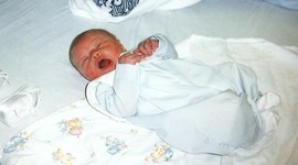 Timeline: Henry David K