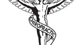 Timeline: Hopeful Job