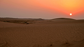 Timeline: Desert Eco System