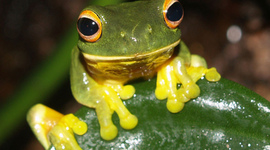 Timeline: THe History of Clock