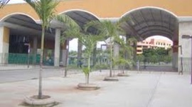 Timeline: nacimiento