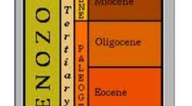 Timeline: Cenozoic Period