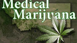 Timeline: Medical Marijuana