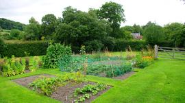 Timeline: ChristineTimeline