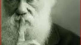 Timeline: Calendario CMC 3ª Evaluación