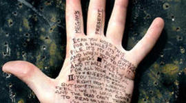 Timeline: Mrs. Bachler's Career Aspiration