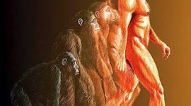 Timeline: Origen hombre