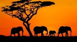 Timeline: History of Mali: From Pre-history to Independance