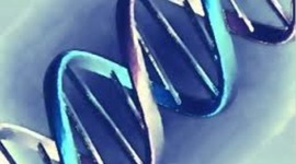 Timeline: Advances in Genetics