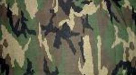 Timeline: U.S. HISTORY TIMELINE 1800-1900