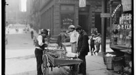 Timeline: Holland Immigration Lily