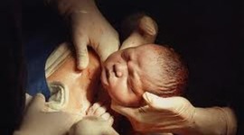 Timeline: Línea años de vida