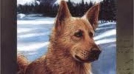 Timeline: Call of the Wild timeline