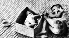 Timeline: Vietnam War