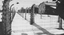 Timeline: auschwitz