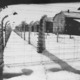 Auschwitz