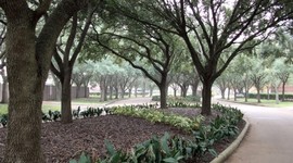 Timeline: Immigration