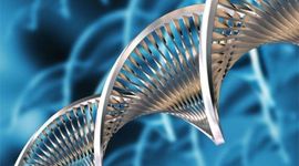 Timeline: Historia de la Ingenieria Genetica