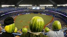 Timeline: Family Events