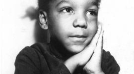 Timeline: Trajetória profissional