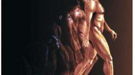 Timeline: EVOLUCION DEL HOMBRE (ETAPAS)