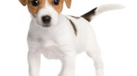 Timeline: daniel hughes