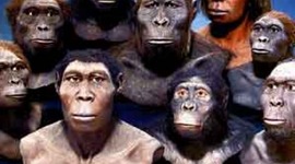 Timeline: Origen y Evolucion del Hombre