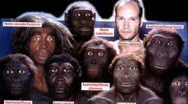 Timeline: origen y evolucion del hombre