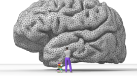 Timeline: An Historical Context Framed by Sean Fridman