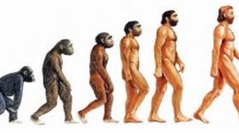 Timeline: Evolucion del hombre