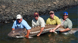 Timeline: Family Fun