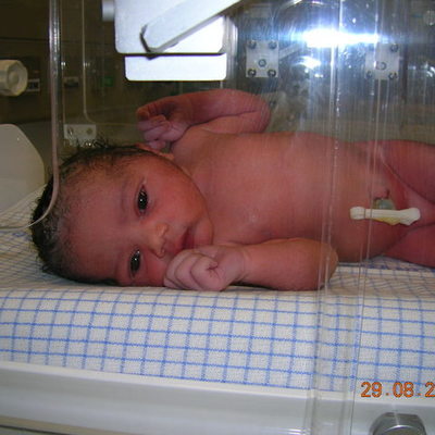 Timeline: La Naissance