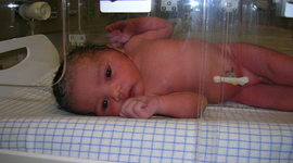 Timeline: La Naissance