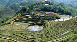 Timeline: History of SAPA