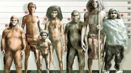 Timeline: Evolución del hombre