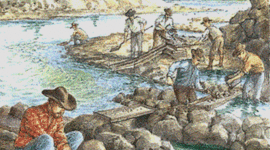 Timeline: California Gold Rush Timeline