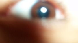 Timeline: una  vida estudiando