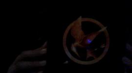 Timeline: The Hunger Games