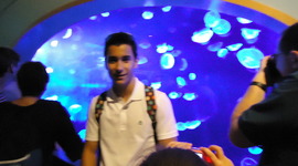 Timeline: Mis estudios.