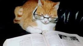 Timeline: Reading timeline