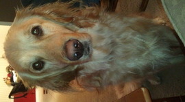 Timeline: Sample Creative Writing Personal Memior Timeline